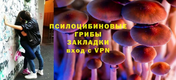 амфетамин Снежногорск