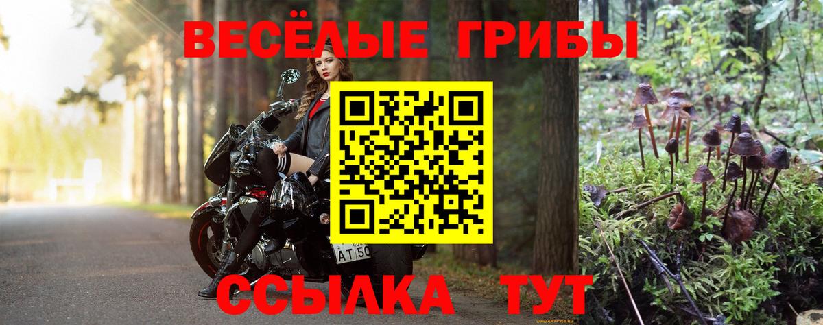Галлюциногенные грибы Cubensis  Вход с VPN  как найти закладки  Галлюциногенные грибы Psilocybe  Ейск 