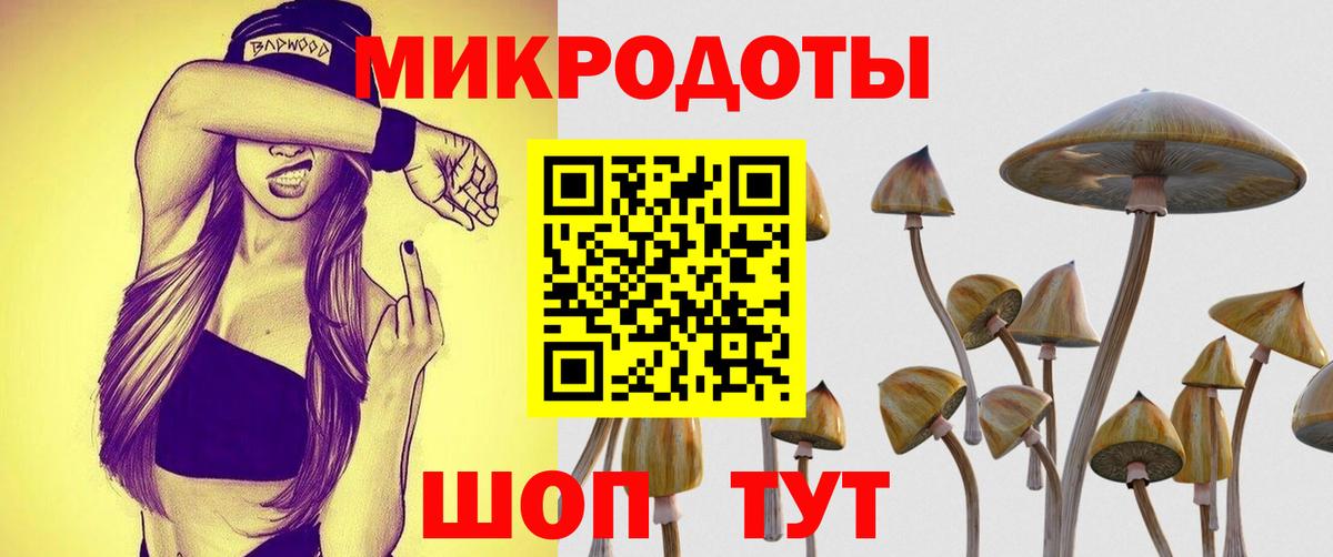 Альфа ПВП Ейск