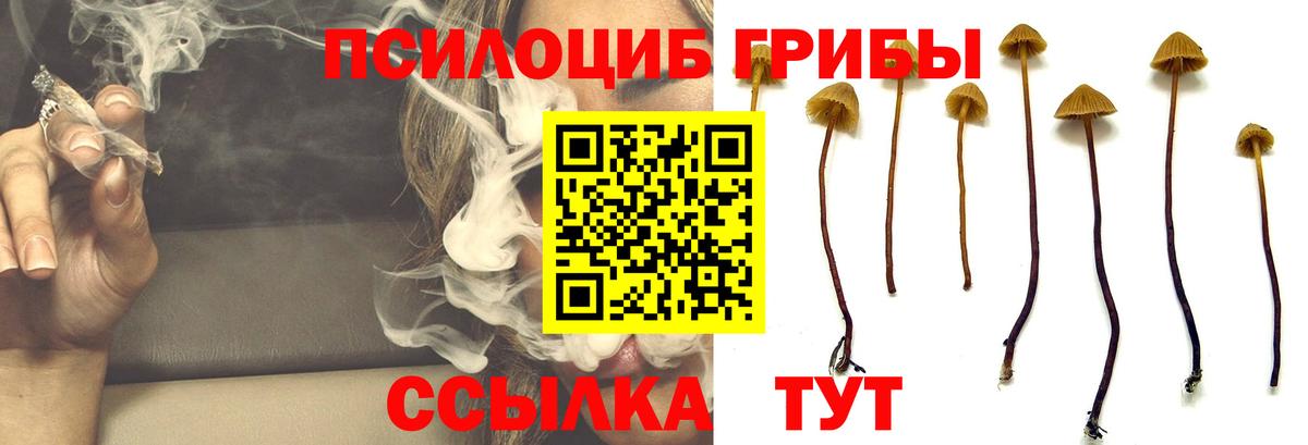 Псилоцибиновые грибы GOLDEN TEACHER Ейск